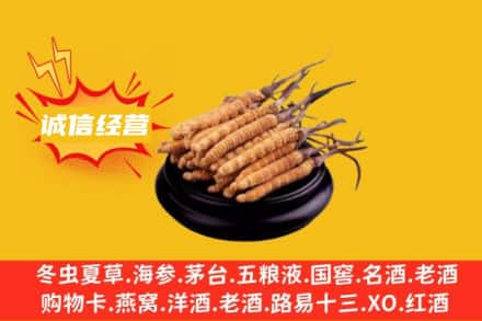 攀枝花市回收冬虫夏草